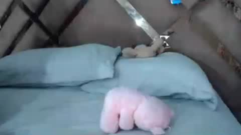 eyshaexotii online show from June 30, 2026, 4:24 am