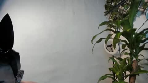 Snapshot of fabbermusic chatting on February 15, 2026, 7:51 am Stiven Baby online show from February 15, 2026, 7:51 am