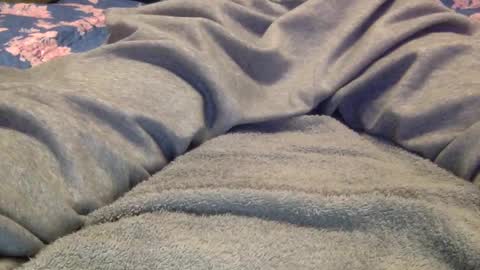 Snapshot of facedownassup219267 chatting on January 25, 2025, 8:42 pm facedownassup219267 online show from January 25, 2025, 8:42 pm