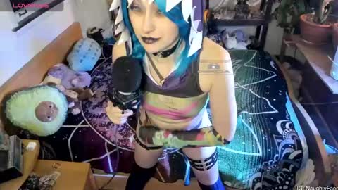 faewildflower online show from February 7, 2026, 5:00 am