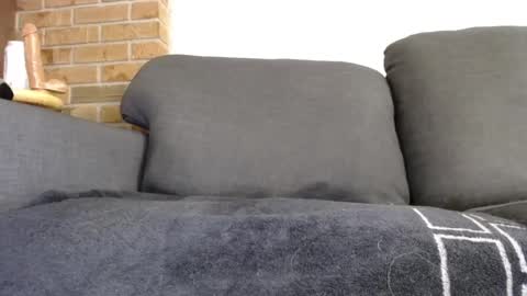 fafnir1278 online show from January 20, 2025, 6:10 am