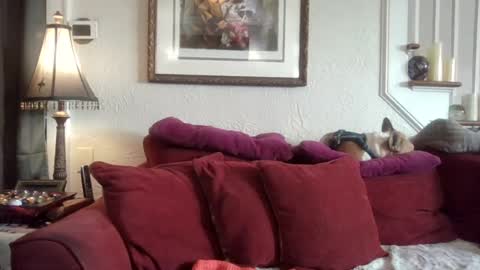 Snapshot of fairmount31 chatting on July 19, 2026, 1:15 pm fairmount31 online show from July 19, 2026, 1:15 pm