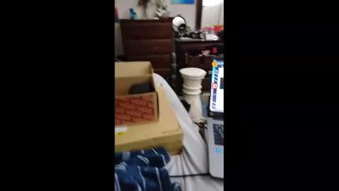 fallen_jezabel online show from November 16, 2025, 2:06 am