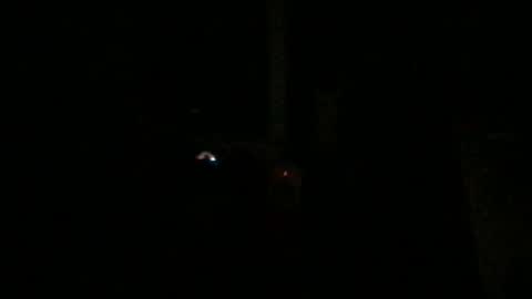 Snapshot of fantasticdeee chatting on January 6, 2025, 3:20 am fantasticdeee online show from January 6, 2025, 3:20 am