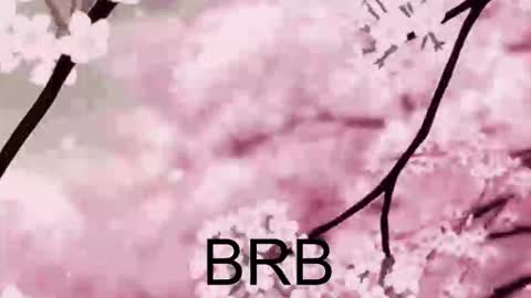 Snapshot of farahmantifel chatting on October 10, 2025, 1:43 pm Anna Scovich online show from October 10, 2025, 1:43 pm