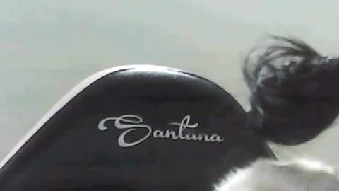 Snapshot of farianna_hot chatting on May 2, 2026, 10:26 pm farianna_hot online show from May 2, 2026, 10:26 pm