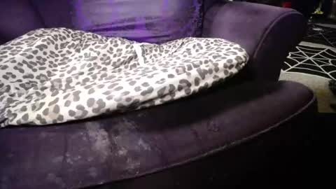 Snapshot of farrahfindom chatting on March 10, 2026, 3:28 pm Farrah online show from March 10, 2026, 3:28 pm