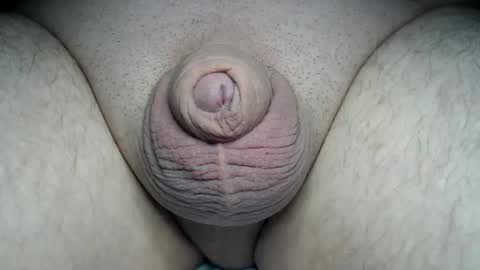 Snapshot of fatmanscock chatting on March 1, 2026, 12:56 am Fatmanscock online show from March 1, 2026, 12:56 am