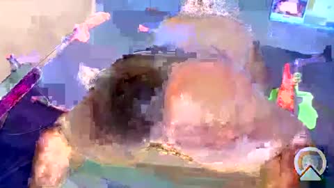 i like my pussy been toture online show from January 4, 2025, 5:58 am