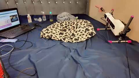 i like my pussy been toture online show from February 19, 2025, 11:06 am