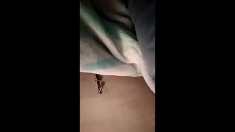 fcp27392194 online show from February 7, 2026, 11:08 pm