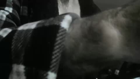 feardubh online show from October 31, 2025, 9:43 am