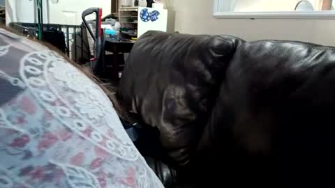 Snapshot of feastonme00 chatting on July 4, 2026, 2:12 pm feastonme00 online show from July 4, 2026, 2:12 pm