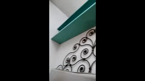 fed884 online show from March 23, 2026, 8:13 pm