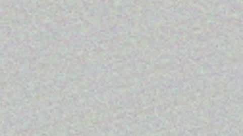 FeleenaFux online show from May 3, 2026, 7:20 pm