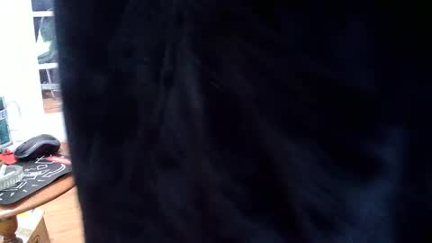 hungnsexy  online show from March 7, 2025, 9:59 pm