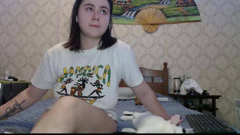 Snapshot of felvivalkitty chatting on January 3, 2025, 11:33 pm Seva online show from January 3, 2025, 11:33 pm