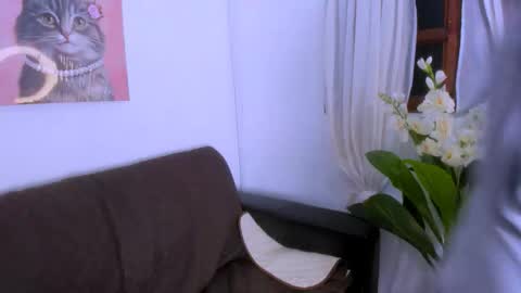 Fernanda online show from November 8, 2025, 8:29 pm