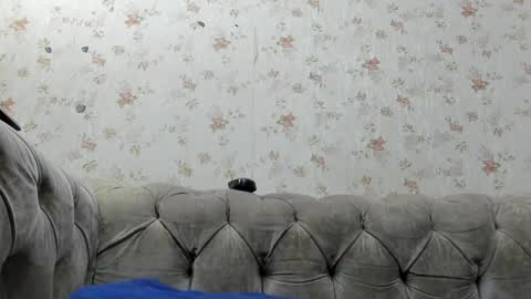 Fernanda online show from January 12, 2025, 12:01 pm