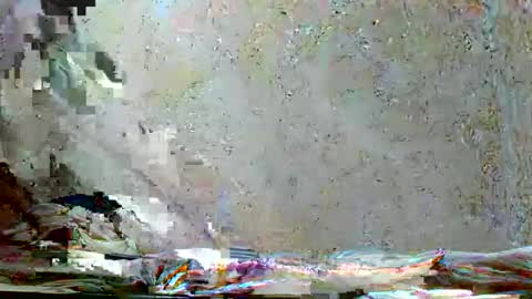 fernandez_latinblack online show from November 18, 2025, 10:31 am