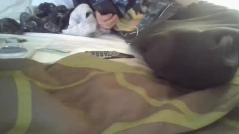 Snapshot of fetishfriendly6969 chatting on December 4, 2024, 3:43 pm fetishfriendly6969 online show from December 4, 2024, 3:43 pm