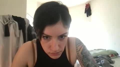 fgsammie online show from May 9, 2026, 1:11 am