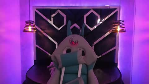   online show from January 8, 2025, 12:05 pm