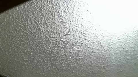 Snapshot of fierywoman158 chatting on October 7, 2025, 4:26 pm FIERYWOMAN online show from October 7, 2025, 4:26 pm