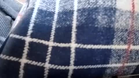 filthyskanktrollop online show from November 6, 2025, 4:41 pm