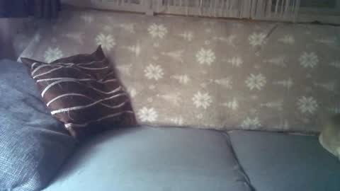 Jane and Findo online show from January 6, 2025, 8:24 am