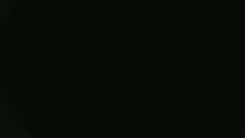 Fish online show from January 16, 2025, 10:02 pm