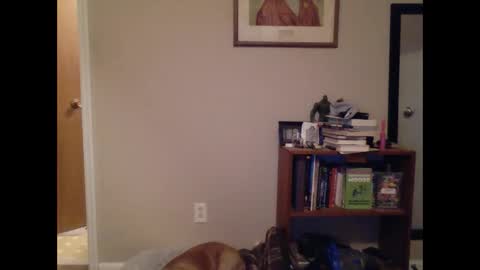 Snapshot of fitbit90 chatting on March 9, 2025, 9:46 am FitBit online show from March 9, 2025, 9:46 am