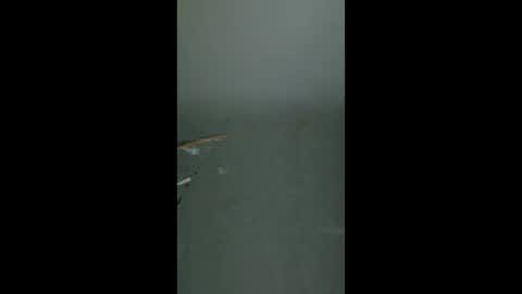 flavianflavius33 online show from April 28, 2026, 4:39 am