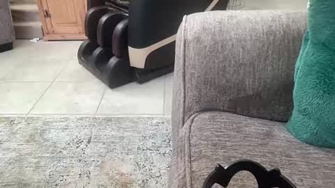 Flirtyfayex online show from February 8, 2026, 11:41 pm