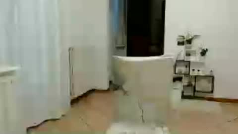 florya4you online show from June 12, 2026, 4:39 pm