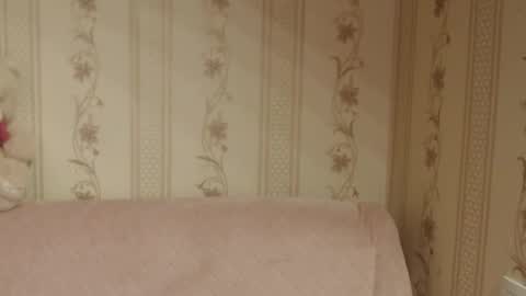 say meow and send tip  online show from November 19, 2025, 11:43 am