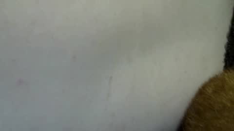 Snapshot of flufferbutt2 chatting on April 4, 2026, 10:24 am flufferbutt2 online show from April 4, 2026, 10:24 am