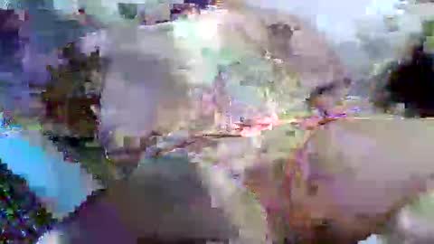 Snapshot of flufferbutt2 chatting on April 14, 2026, 5:13 am flufferbutt2 online show from April 14, 2026, 5:13 am