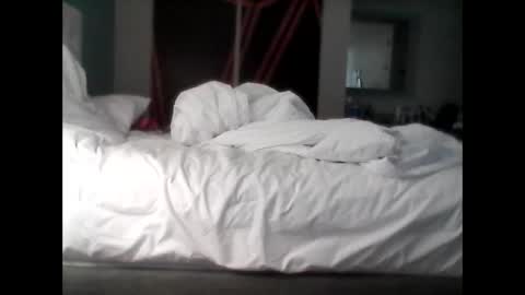 foeydog2024 online show from February 1, 2026, 6:06 pm