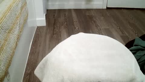 forestnymphpdx online show from October 19, 2025, 12:11 am