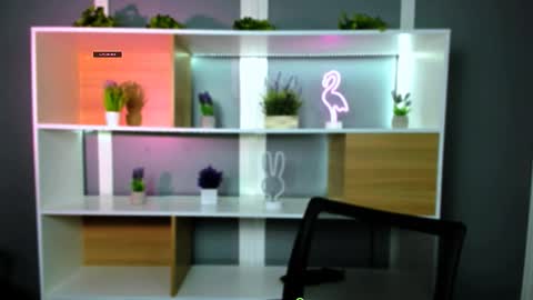 fose di online show from February 2, 2026, 7:34 pm