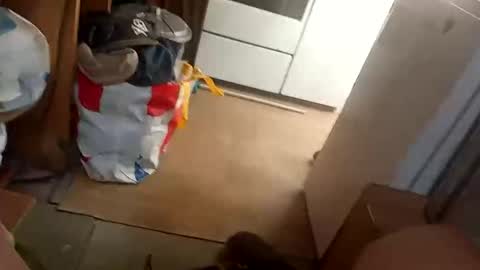 Fouducu online show from March 16, 2026, 12:09 pm