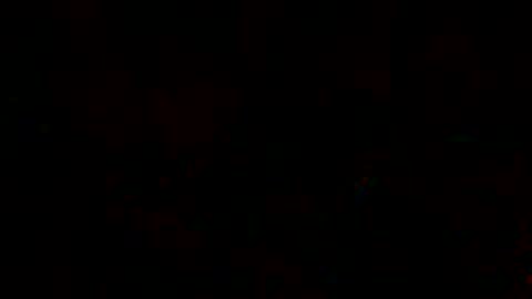 Snapshot of fox_hev chatting on February 23, 2025, 6:39 am fox hev online show from February 23, 2025, 6:39 am