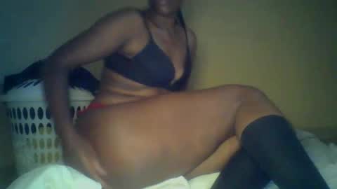 Snapshot of foxysha1 chatting on February 2, 2026, 3:55 pm Sha online show from February 2, 2026, 3:55 pm