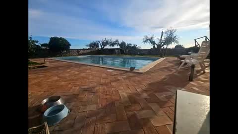 Snapshot of fra__71 chatting on March 27, 2026, 4:29 pm fra 71 online show from March 27, 2026, 4:29 pm