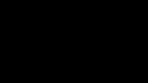 freakleap4 online show from April 8, 2026, 9:31 am