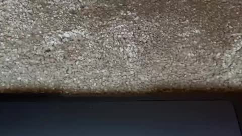 athena online show from March 31, 2026, 7:47 pm