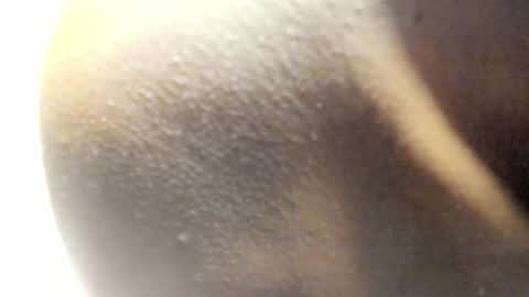 Snapshot of freaky_kandy chatting on March 14, 2026, 8:09 am Kandy online show from March 14, 2026, 8:09 am