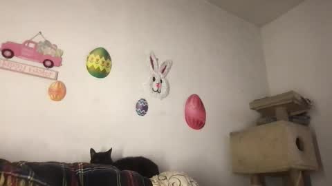 Freddy Foot Balls online show from March 23, 2026, 11:09 pm