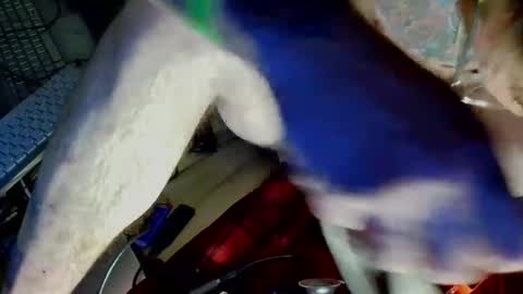 freeman2doyou2 online show from December 22, 2024, 8:16 am